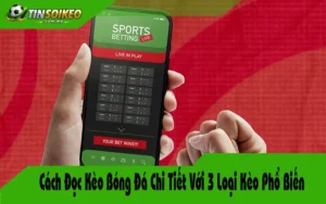 Cách Đọc Kèo Bóng Đá Chi Tiết Với 3 Loại Kèo Phổ Biến