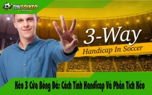 Kèo 3 Cửa Bóng Đá: Cách Tính Handicap Và Phân Tích Kèo